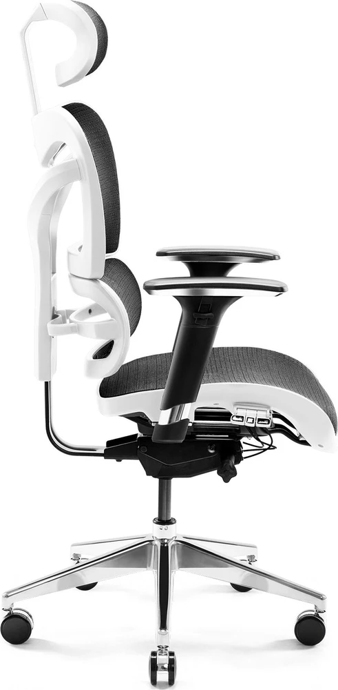 Ergonominė kėdė DIABLO V-COMMANDER, Juodos/ Baltos spalvos