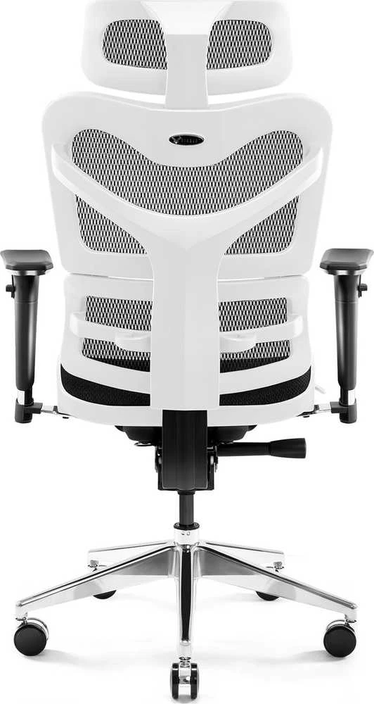 Ergonominė kėdė DIABLO V-COMMANDER, Juodos/ Baltos spalvos