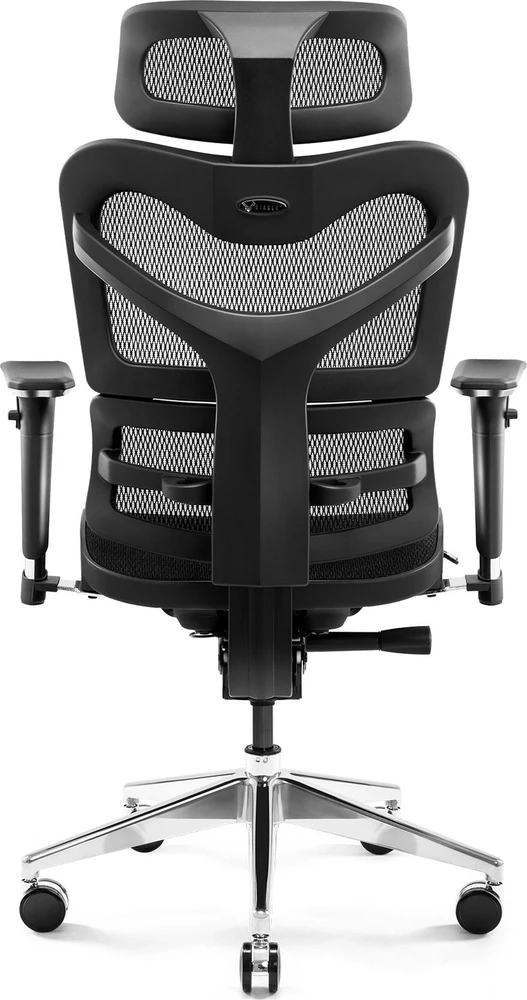Ergonominė kėdė  DIABLO V-COMMANDER, Juodos spalvos