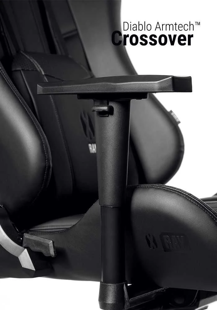 Diablo Chairs Diablo X-Ray 2.0 Normal Size Juodas-Pilkas ergonominė kėdė