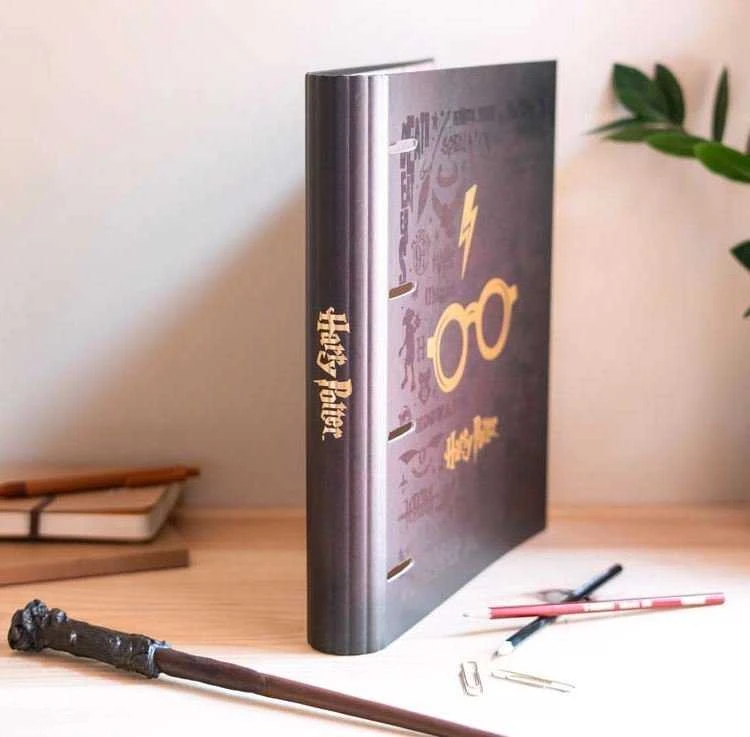 Harry Potter Haris Poteris - A4 formato segtuvas (4 žiedai, gumytė)
