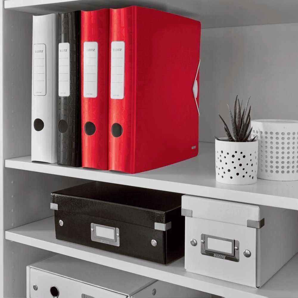 Segregatorius Leitz Segr Active PP WOW A4/60mm
