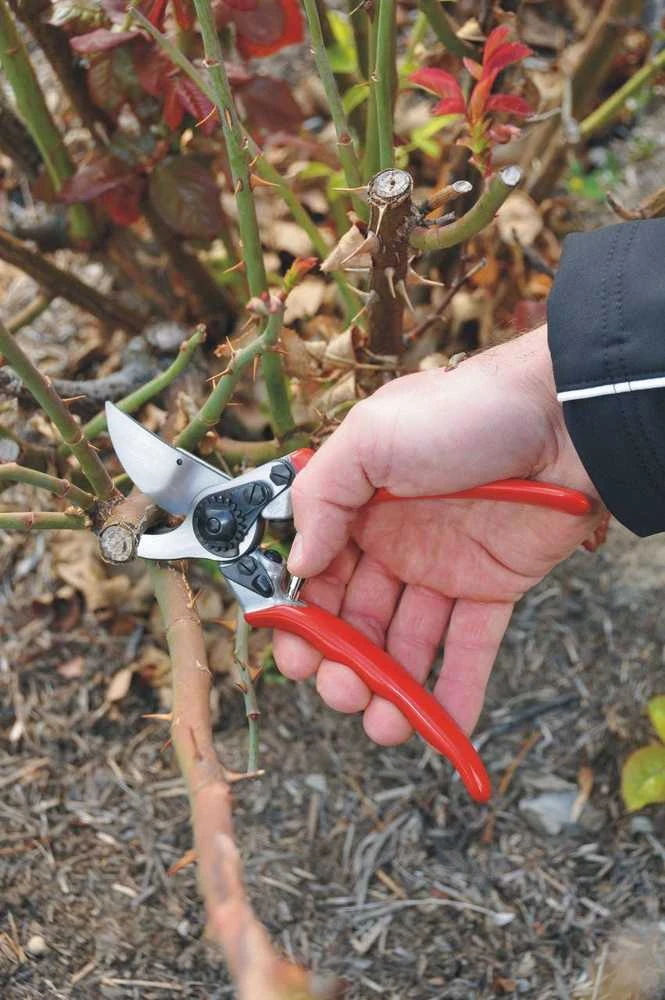 Sekatorius prasilenkiančiais ašmenimis Felco 14