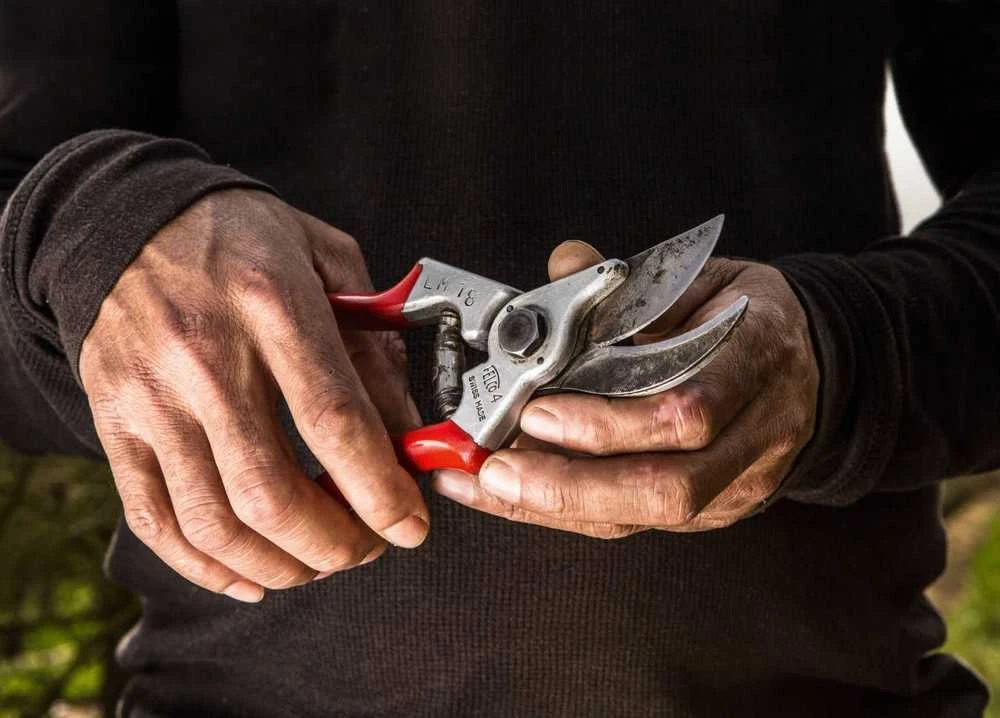 Felco 4 klasikiniai sekatoriai