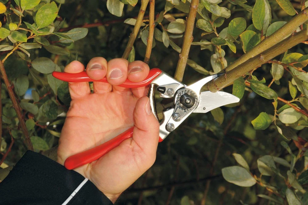 Sekator Felco 6 Classic nożycowy