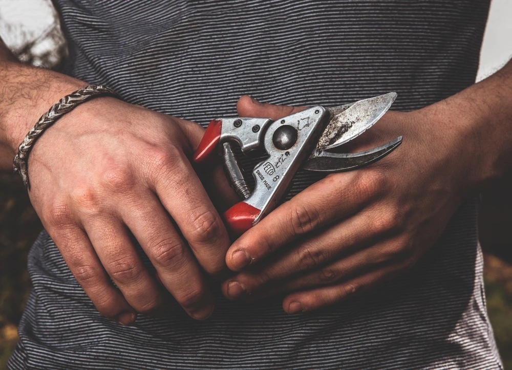 Sekator Felco 8 Classic nożycowy