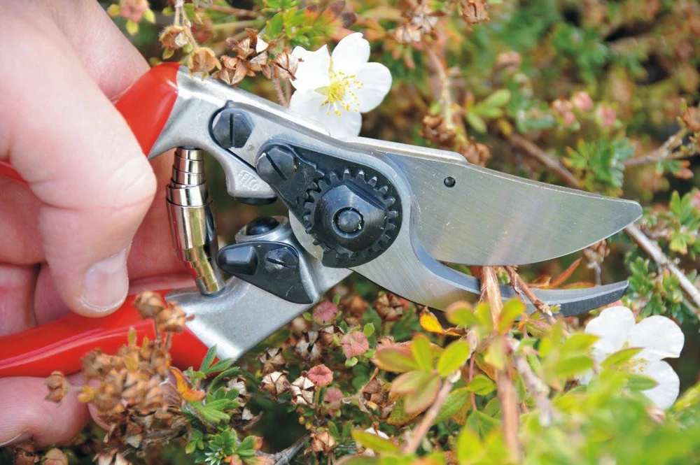 Felco 9 klasikiniai sekatoriai