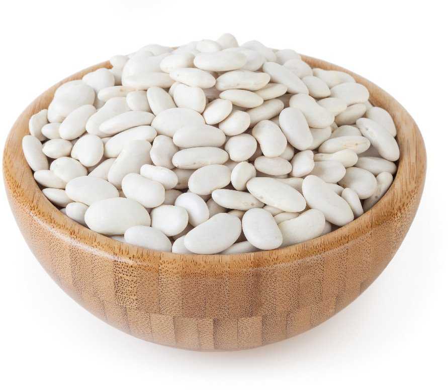 Igłomska Dry Bean Seeds PNOS Vegetable Seeds, 50g Package