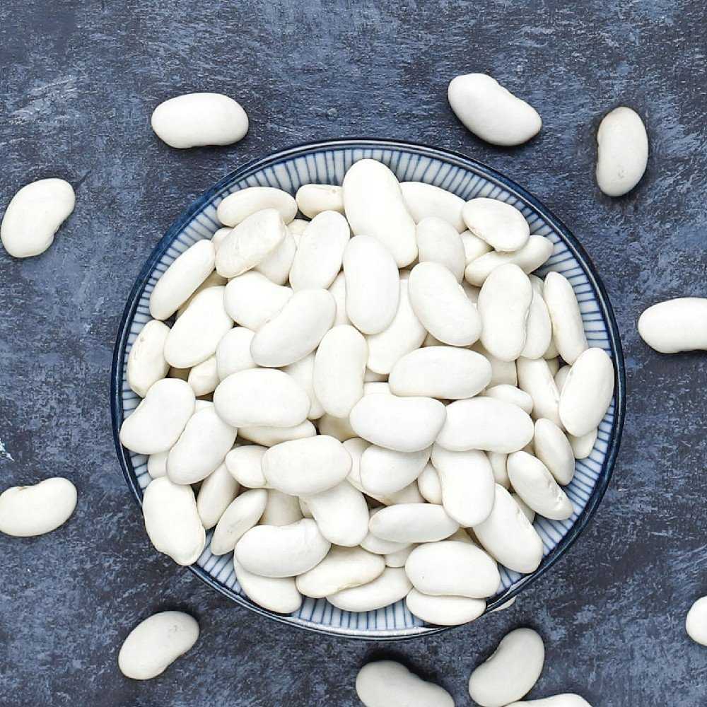 Igłomska Dry Bean Seeds PNOS Vegetable Seeds, 50g Package