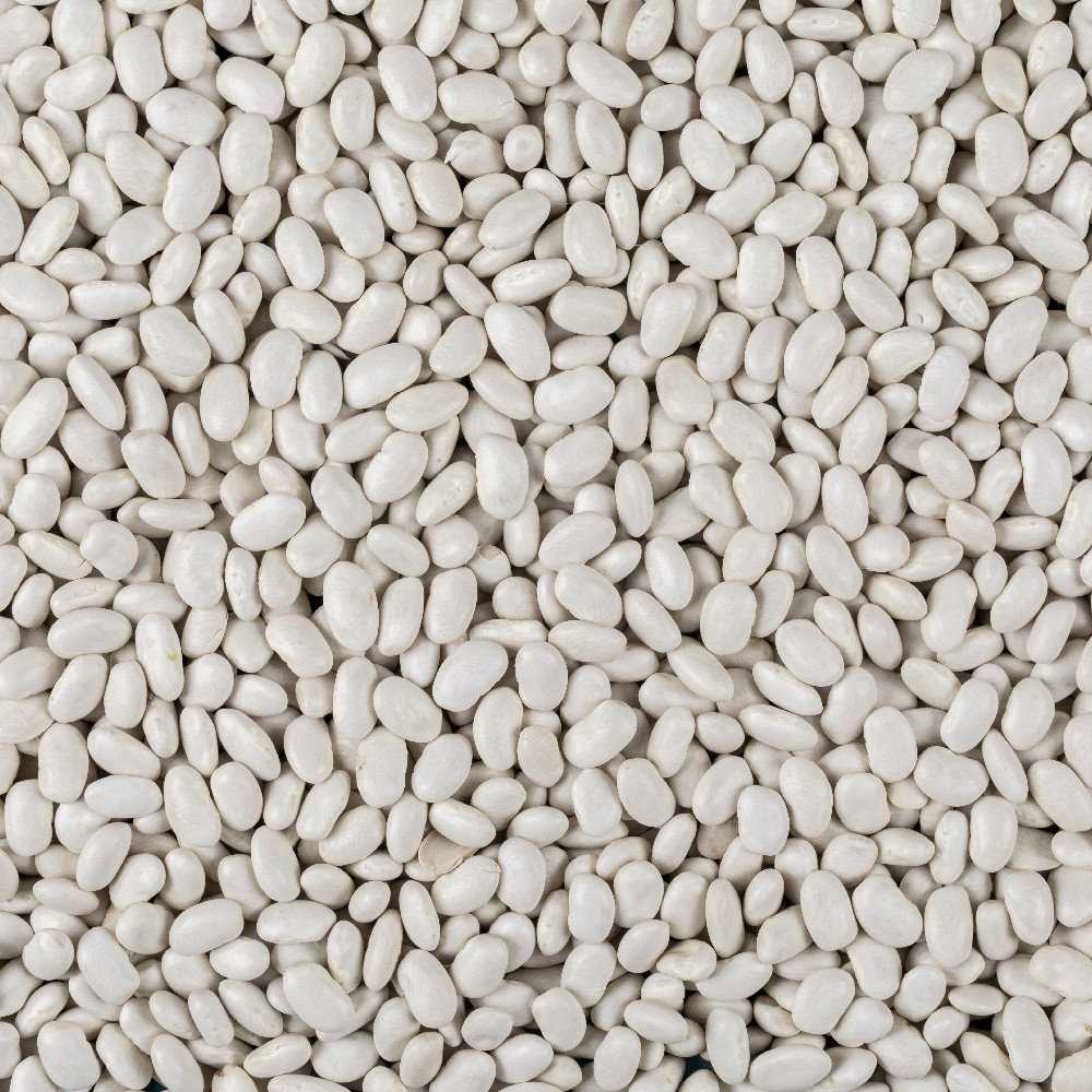 Igłomska Dry Bean Seeds PNOS Vegetable Seeds, 50g Package