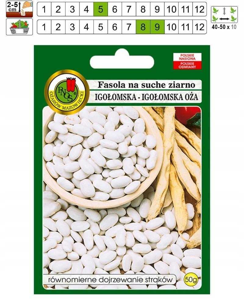 Igłomska Dry Bean Seeds PNOS Vegetable Seeds, 50g Package