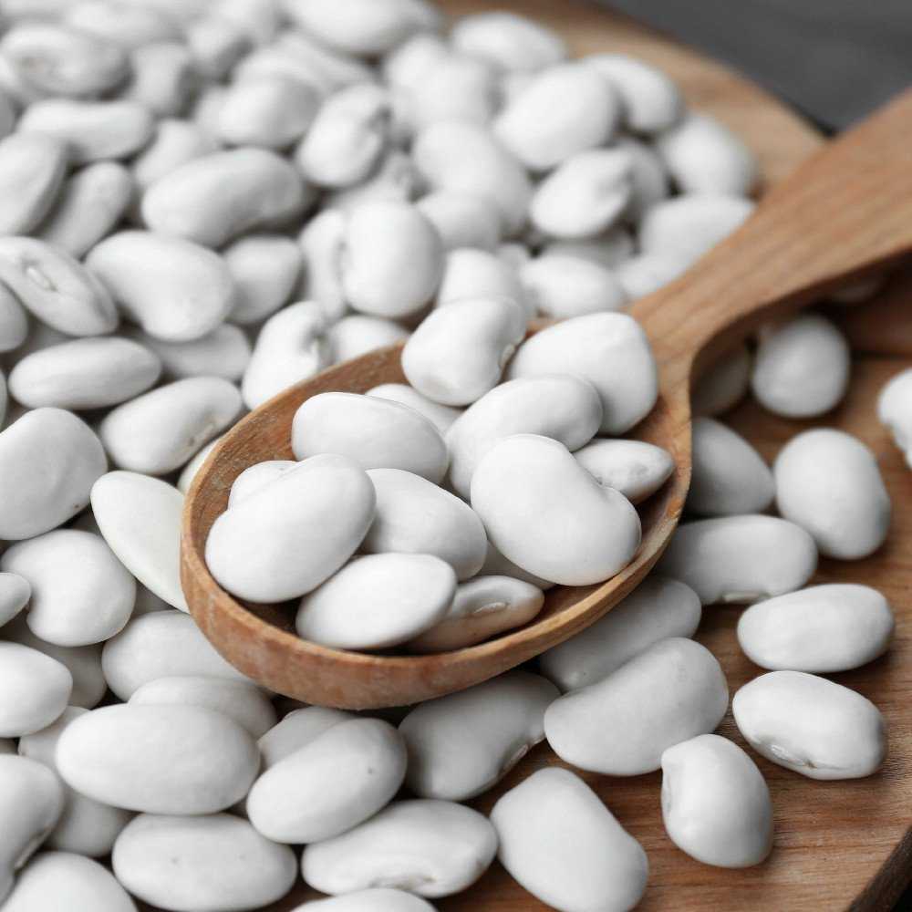 Igłomska Dry Bean Seeds PNOS Vegetable Seeds, 50g Package