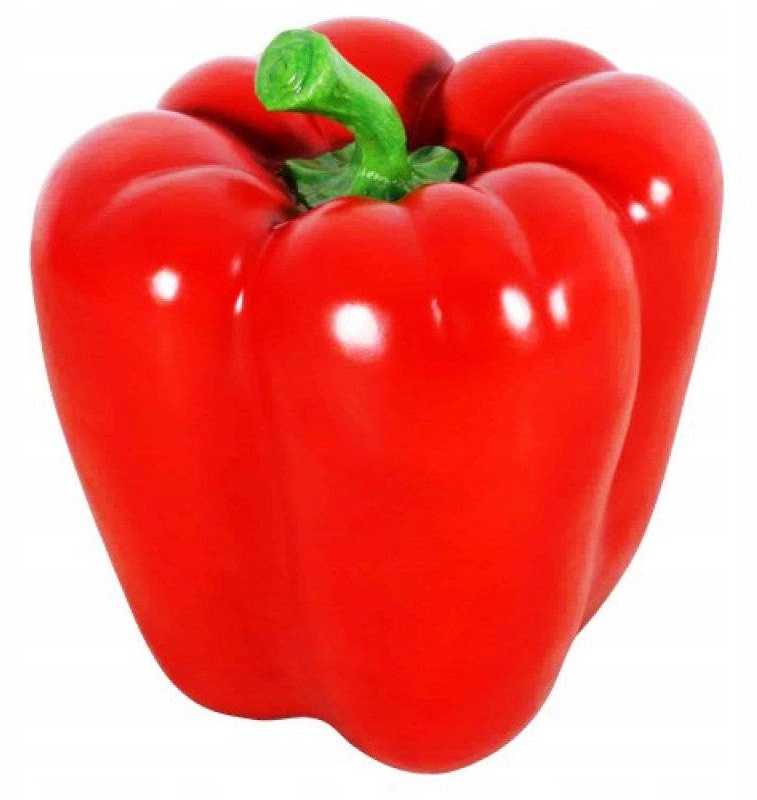 Jolanta Pepper PNOS Vegetable Seeds, 0.5g Package