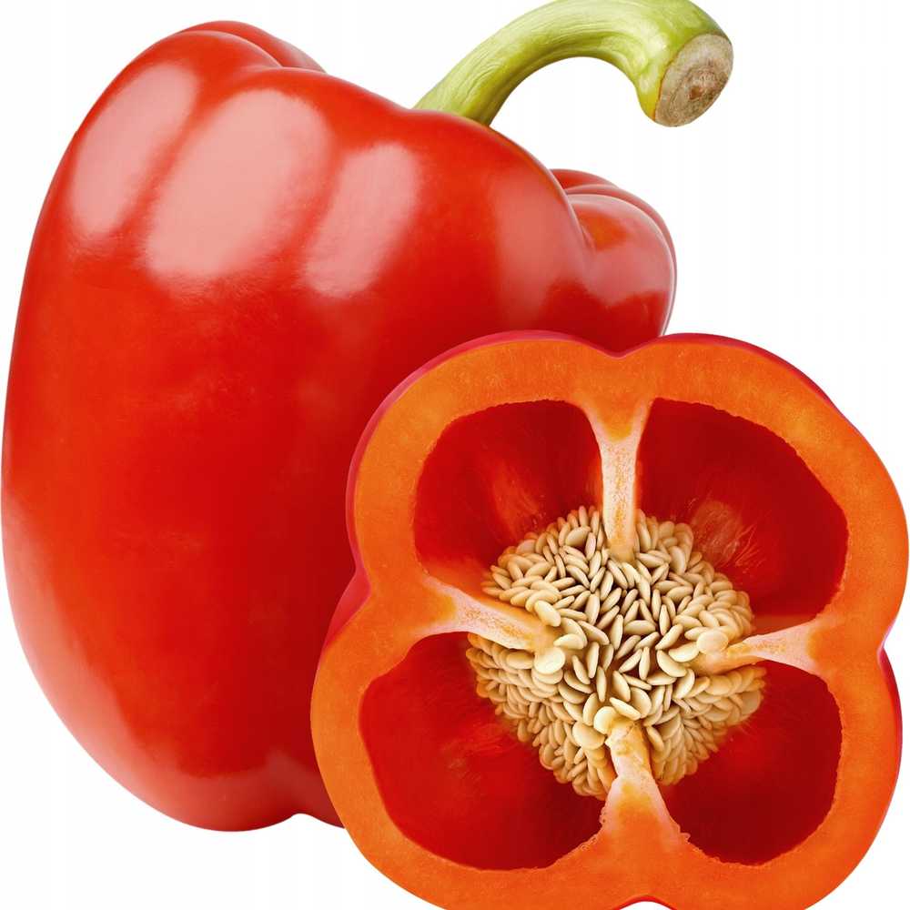 Jolanta Pepper PNOS Vegetable Seeds, 0.5g Package