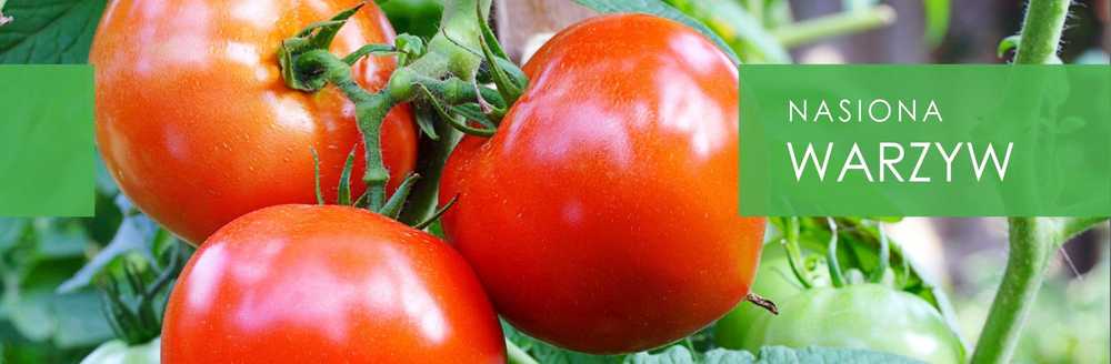 Jolanta Pepper PNOS Vegetable Seeds, 0.5g Package