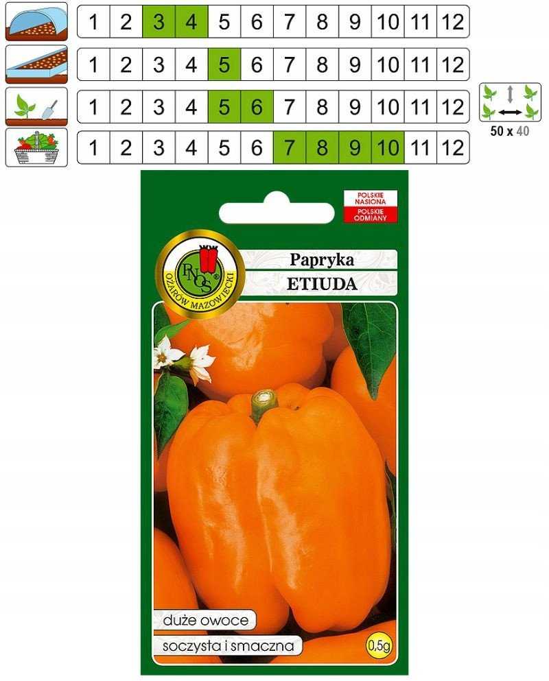 Etiuda Pepper PNOS Vegetable Seeds, 0.5g Pack