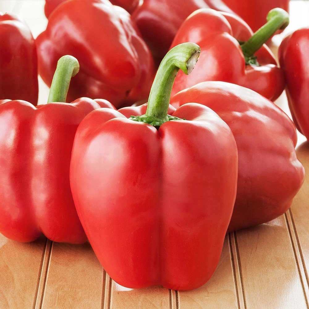 Ożarowska Pepper PNOS dengtos sėklos, 50 vnt. pakuotė