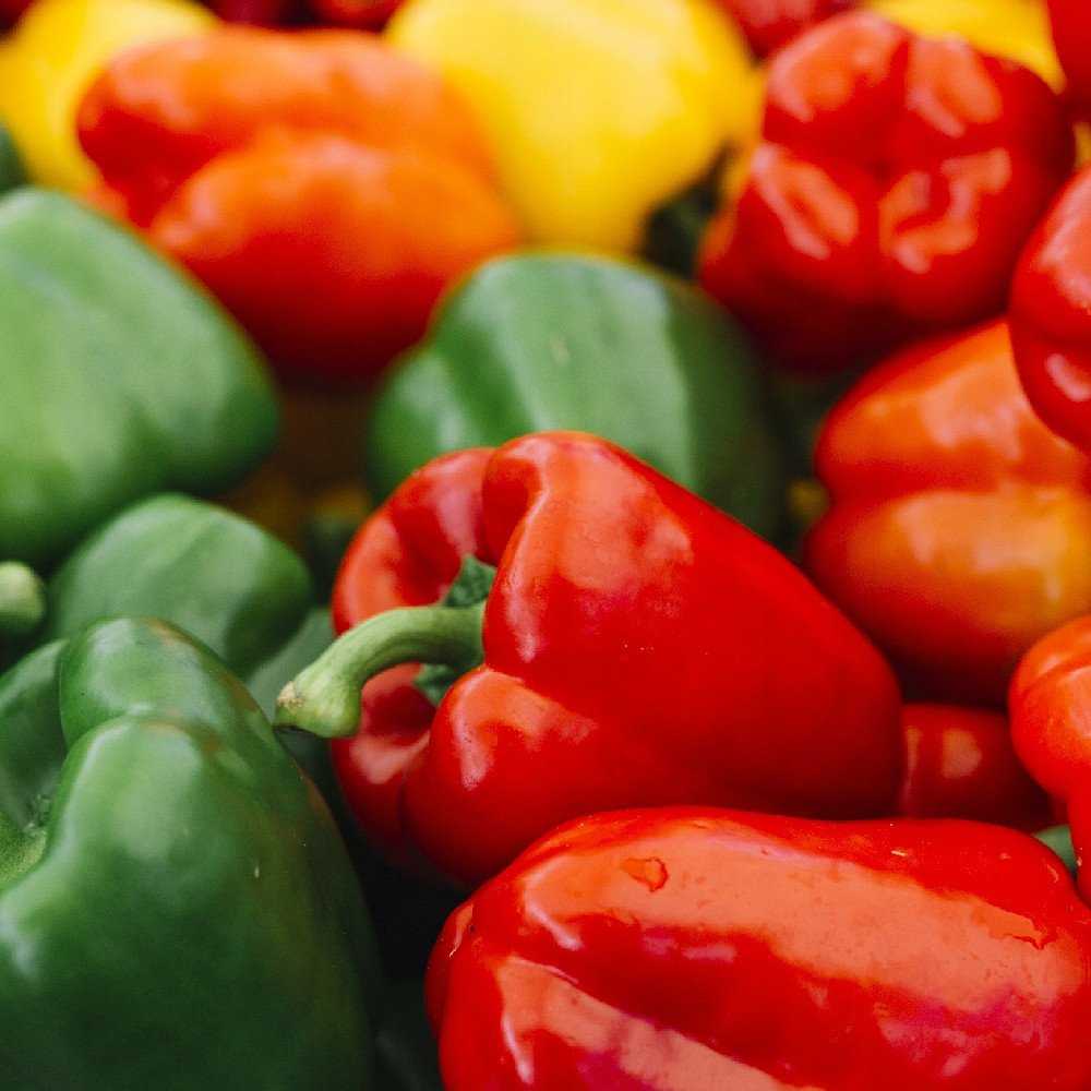Sweet Pepper PNOS Seeds Mix, 0.6g Package