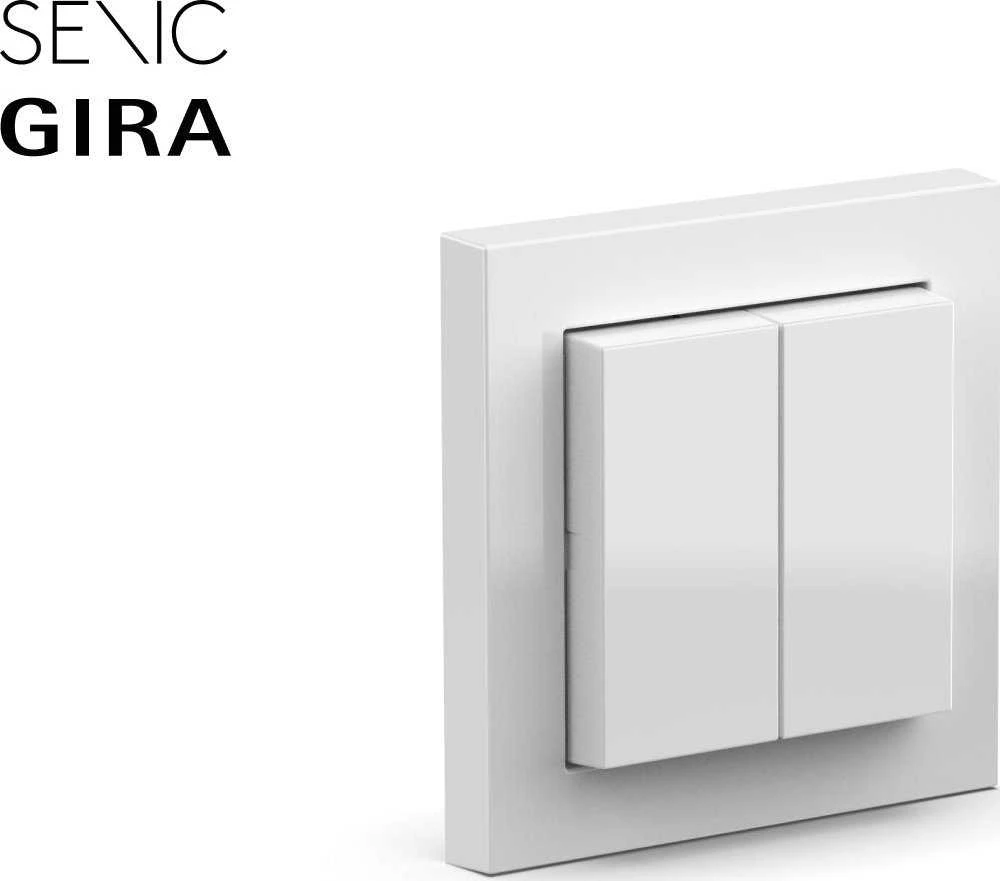Plaukų džiovintuvas Senic Friends of Hue Smart Switch, jungiklis (baltas (blizgus))