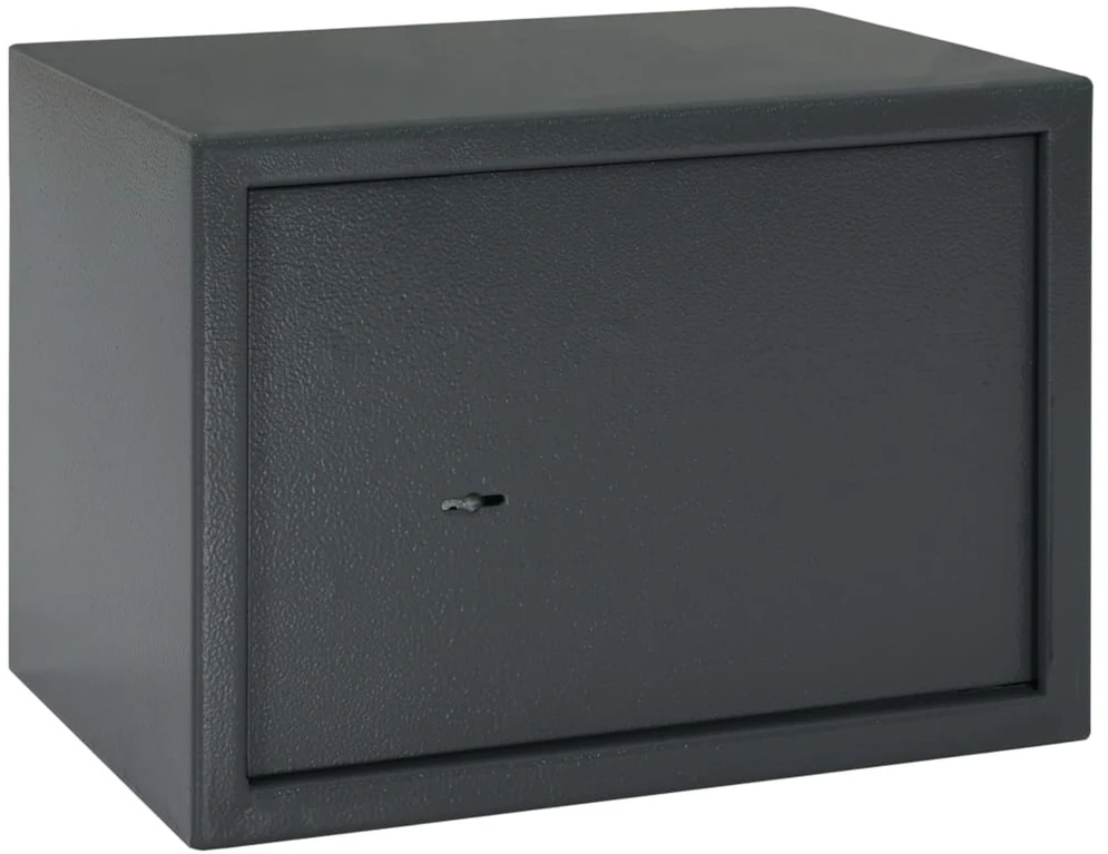 SentrySafe Seifo dėžė su užraktu Tamsiai pilka 35 x 25 x 25 cm Plienas