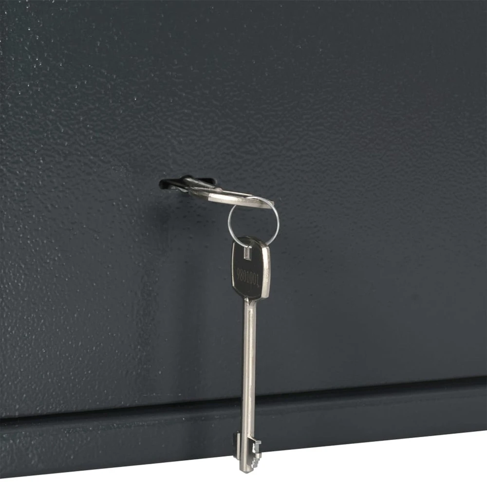 SentrySafe Seifo dėžė su užraktu Tamsiai pilka 35 x 25 x 25 cm Plienas