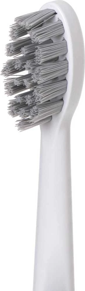 Dantų šepetėlis Adler | 2-in-1 Vanduo Flossing Sonic | AD 2180w | Įkraunamas | Suaugusiems | Šepetėlių skaičius galvutės įeina 2 | Number of teeth brushing modes 1 | Baltas
