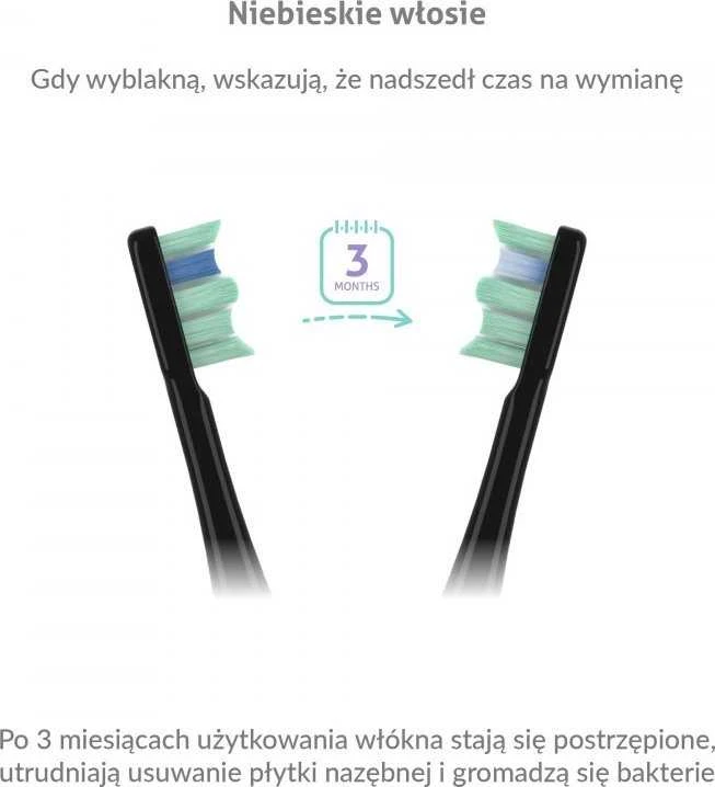 TrueLife SonicBrush Clean30 Juodas Adult Oscillating dantų šepetėlis