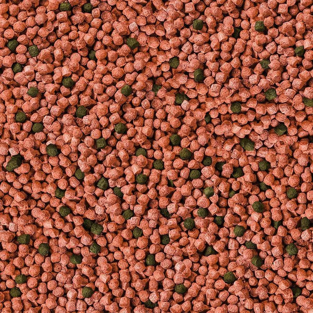 Sera Koi junior visų sezonų probiotikas 0,5kg