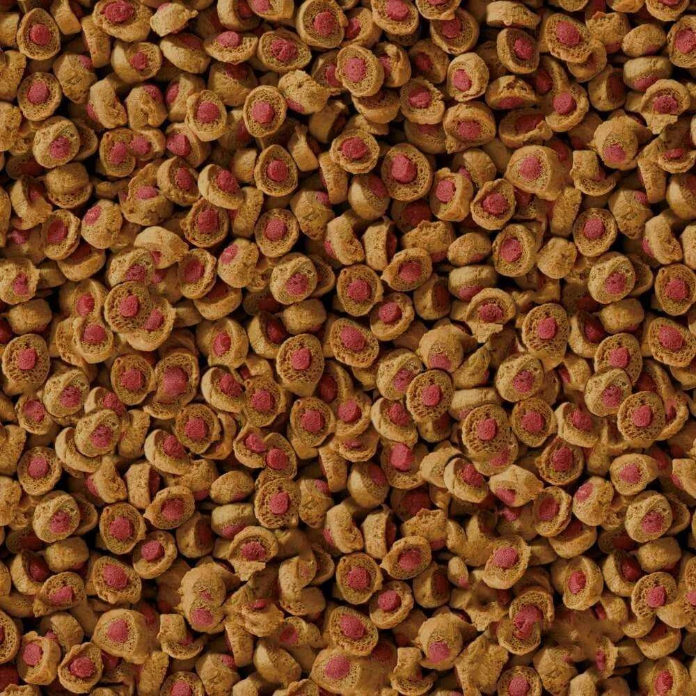 sera Koi Professional pavasario ir rudens 1000g