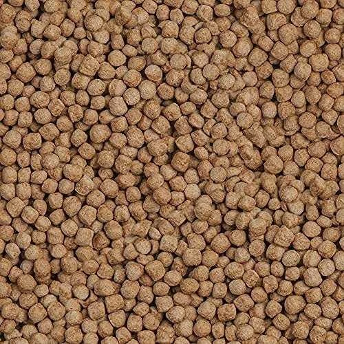 Sera Koi Royal Large 21 l, granulės - pagrindinis Koi maistas