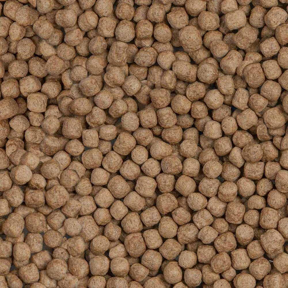 Sera Koi Royal Large 21 l, granulės - pagrindinis Koi maistas