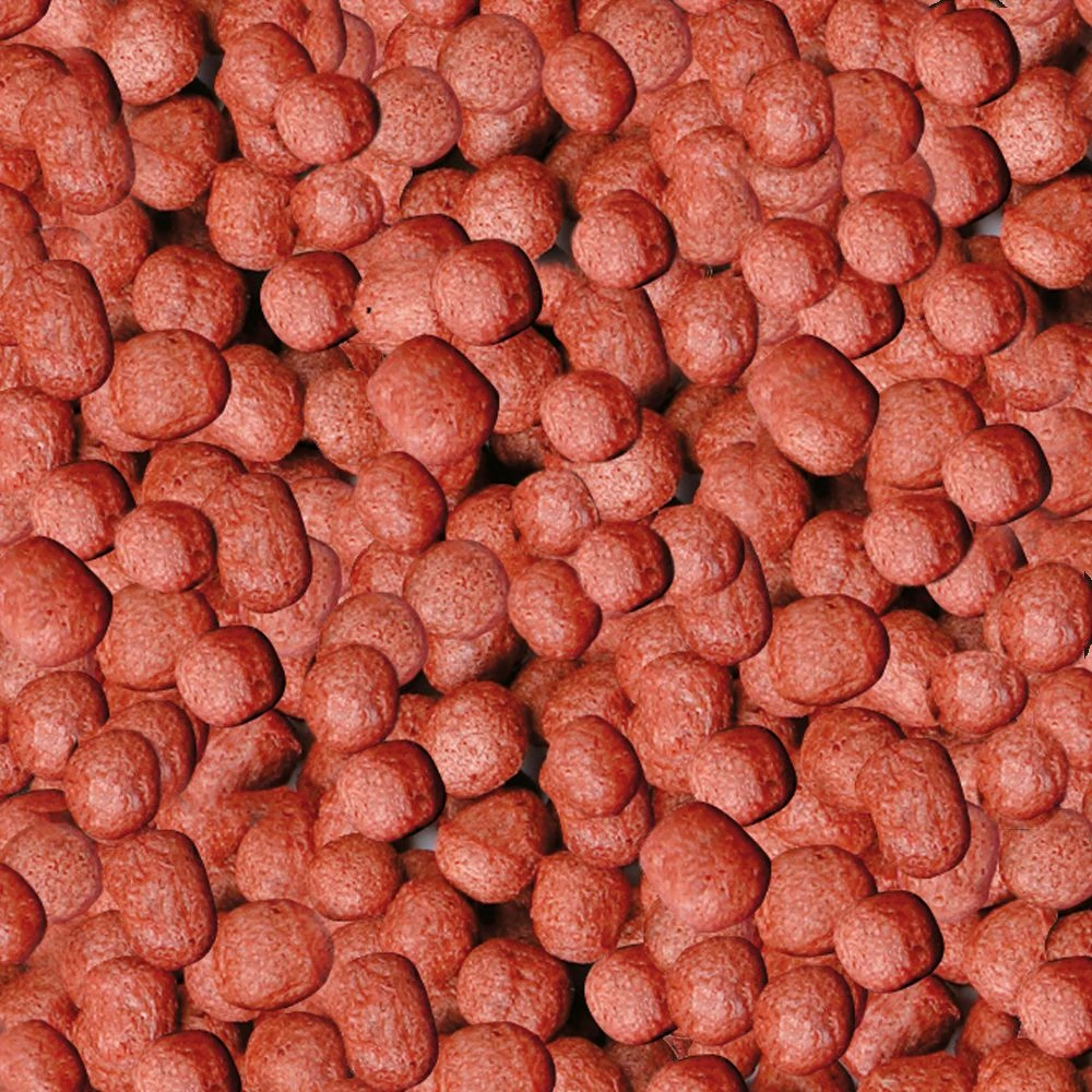 sera Koi Royal Large 3,8L (1,05kg)