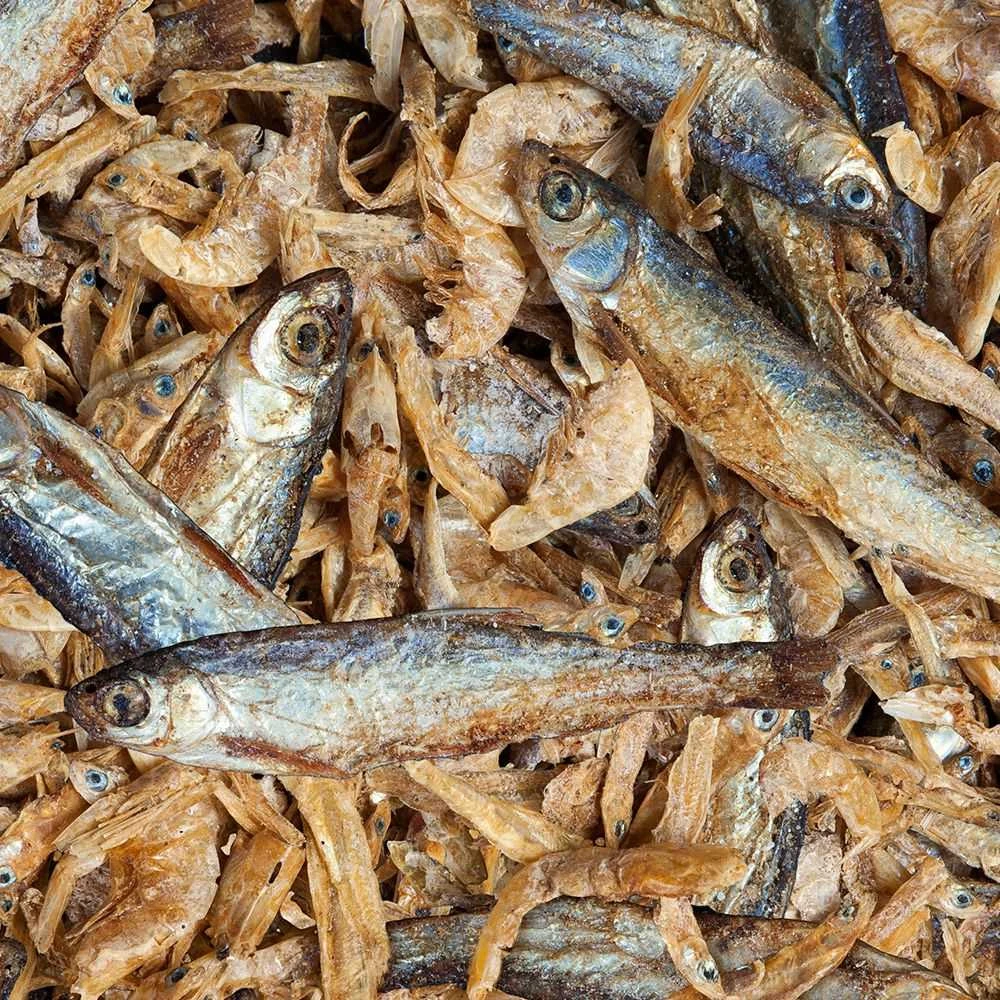 sera Vandens vėžlių užkandis 1.000 ml (220 g)