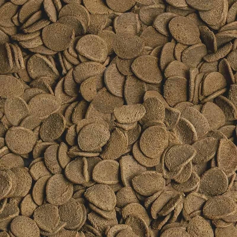 Sera Vipachips 10 l (3,6kg), skęstantys traškučiai - pagrindinis maistas