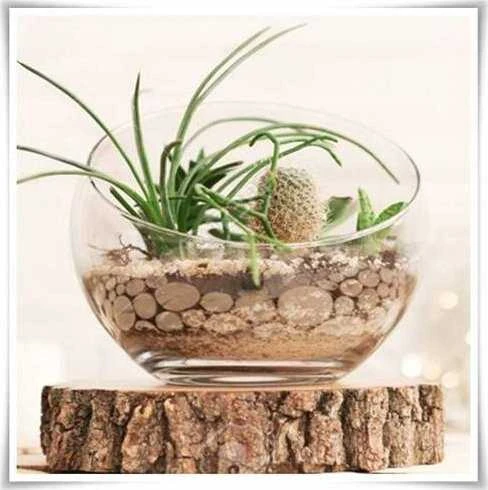 Mondex SERENITE Vaza 10x10x25 cm įstriža