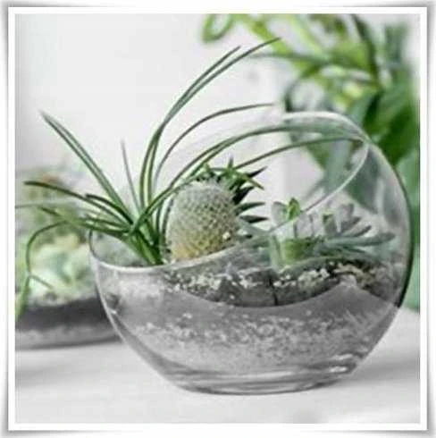 Mondex SERENITE Vaza 10x10x25 cm įstriža