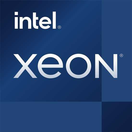 Procesorius Intel Xeon E-2324 3.1 GHz - Skt 1200