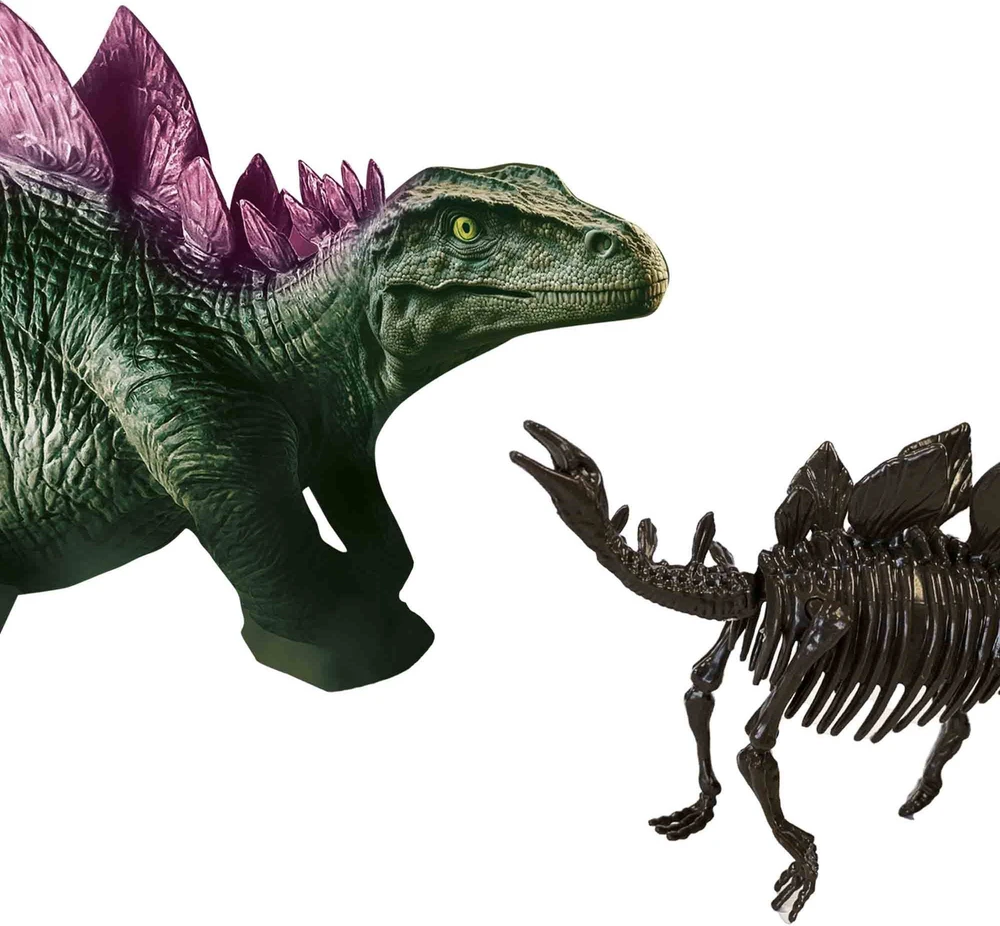 Ses Creative SES dinozauro fosilija 2in1 stegozauras 25094 50942