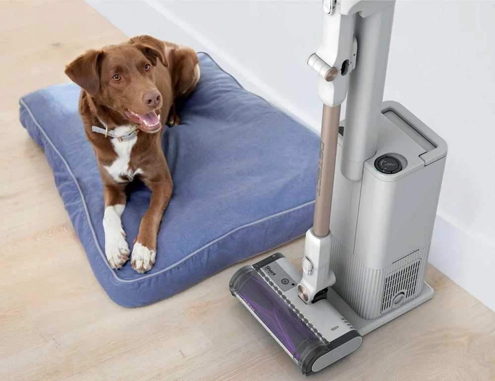Shark Detect Clean & Empty, baltas - Belaidis dulkių siurblys IW3612EU