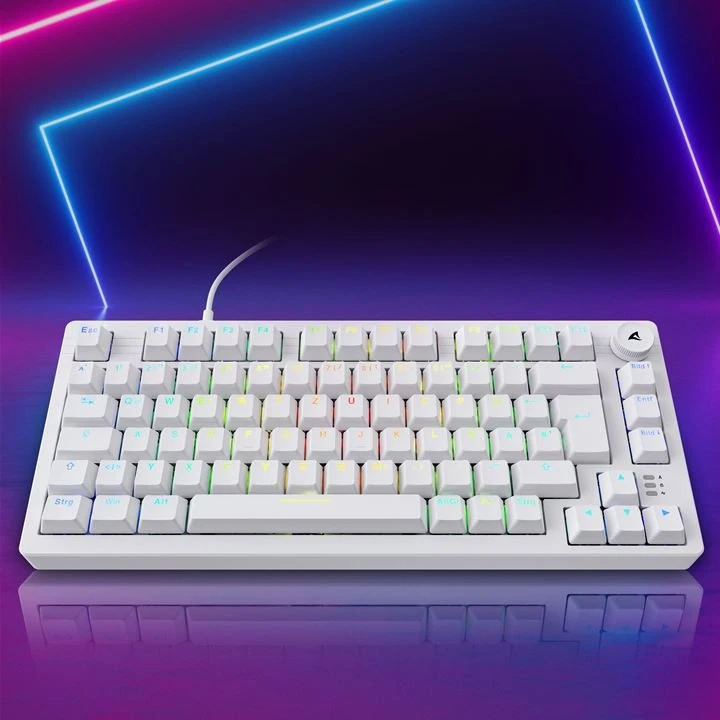 Sharkoon Klaviatūra žaidimams Skiller SGK25 wei DE