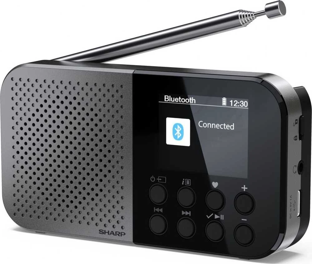 „Sharp OSAKA“ kišeninis / rankinis nešiojamas skaitmeninis radijas | DR-P520(GY) | „Bluetooth“