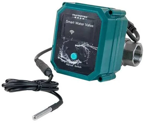 FrankEver išmanusis vandens vožtuvas DN25 powered by Shelly (WiFi, Bluetooth)