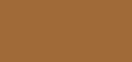 SHISEIDO NATURAL FINISH CREAM CONCEALER 5 (Deep Bronze)