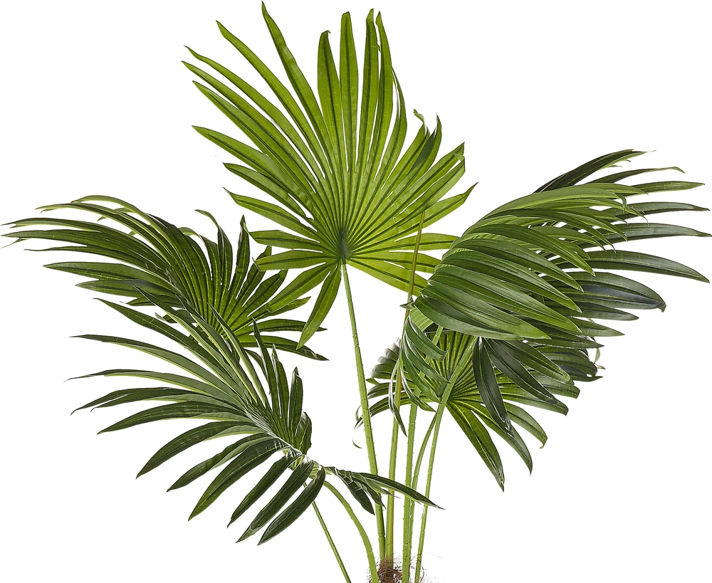 Beliani Dirbtinis augalas FAN PALM 100 cm Žalias