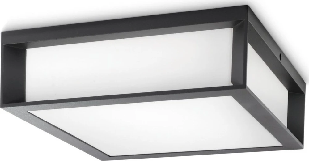 Philips „SKIES“ antracito spalvos lubinis ir sieninis šviestuvas 2x E27/ 42W IP44, aliuminio/plastiko