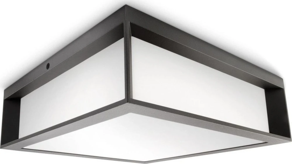 Philips „SKIES“ antracito spalvos lubinis ir sieninis šviestuvas 2x E27/ 42W IP44, aliuminio/plastiko