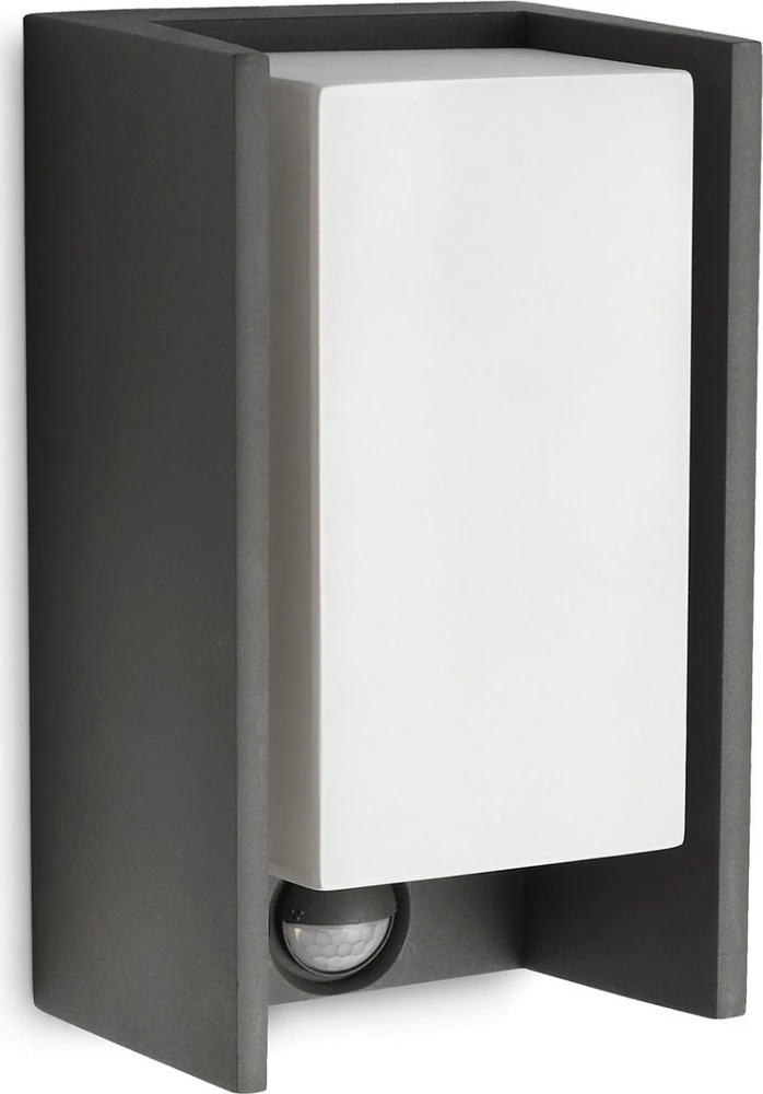 Sien.lauko šviestuvas su jud.jutikliu IP44 Bridge Philips 15W E27 antracito spalvos