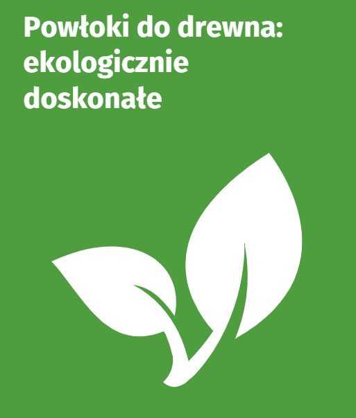 Remmers Silcare aliejus medienai sodui ECO* skaidrus 0,75 l