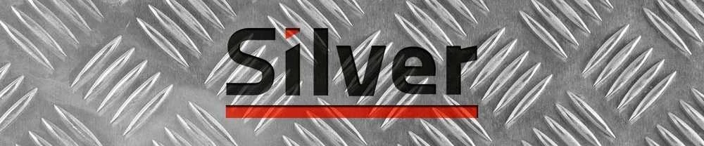 SILVER WKRĘTAKI 10vnt. /Sidabrinis