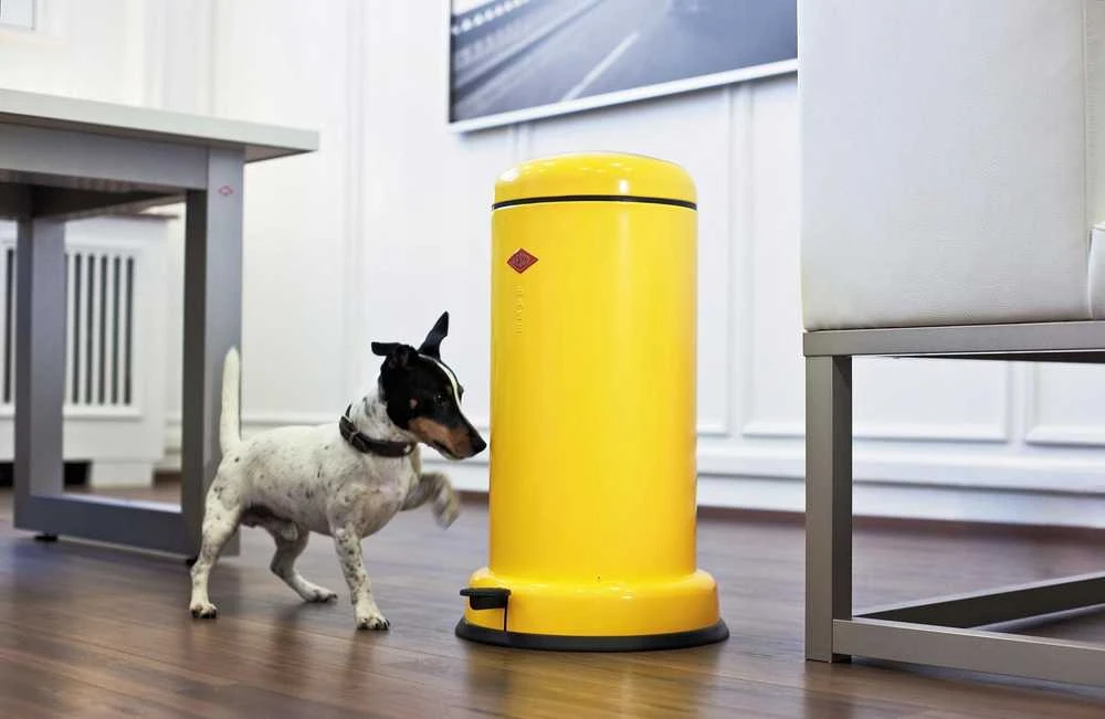 Wesco Šiukšliadėžė 20l raudona BaseBoy